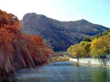 新澳天天开奖资料大全旅游团，西方奇幻小说